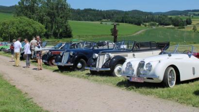Bild: kar
Zahlreiche Autos der Oldtimerfreunde Vohenstrauß legten am Pfingstsonntag bei ihrer Ausfahrt einen Zwischenstopp auf Schloss Guteneck ein.