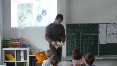 Bild: hah
Der nachgemachte Schädel eines Wolfes mit seinem kräftigen Gebiss beeindruckte die Kinder.