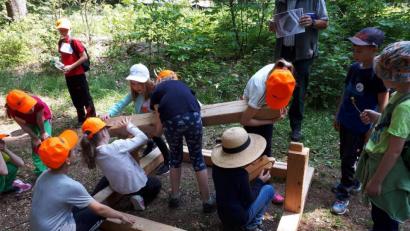 Bild: njn
16 Grundschulklassen aus dem Landkreis beteiligten sich bei den Waldjugendspielen im Steinwald.