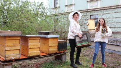 Bild: Evi Wagner
Es summt - und das nicht nur in StefanieZehetbauers (links) Garten. Die leidenschaftliche Imkerin erntet regelmäßig echten Amberger Stadthonig. Dafür sind sie kleinen Bienen in der ganzen Stadt unterwegs, um Nektar zu sammeln.