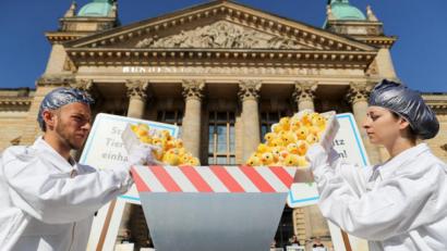 Bild: Jan Woitas/dpa
Mitglieder der Tierschutzorganisation Peta protestieren vor der Urteilsverkündung mit einer symbolischen Aktion zum Kükenschreddern vor dem Bundesverwaltungsgericht in Leipzig.