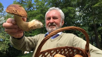 Bild: upl
Alfred Meißner aus Ursulapoppenricht mit seiner ersten Schwammerl-Ausbeute.