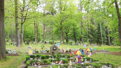 Bild: Ute Schieder
Das Grabfeld für Sternenkinder auf dem Raigeringer Waldfriedhof.