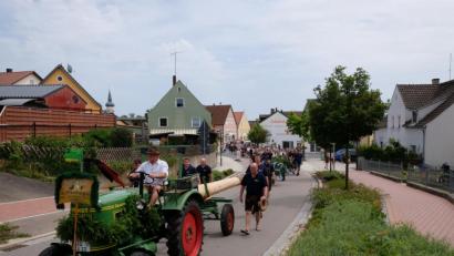 Bild: mab
Mit Bulldog und langem Festzug wird der knapp 30 Meter lange Baum zum Festplatz gebracht.