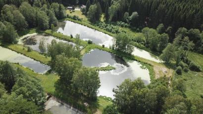 Bild: mmj
Das Areal der Kläranlage nahe dem Ortsausgang Richtung Weiding. Nach der Neukonzeption bleibt noch ein Klärteich.