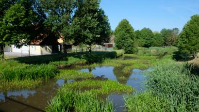 Bild: do
Die Idylle täuscht: Die zunehmende Verlandung der Creußen vor allem im Bereich Tremmersdorf bereitet dem Gemeinderat Sorgen.