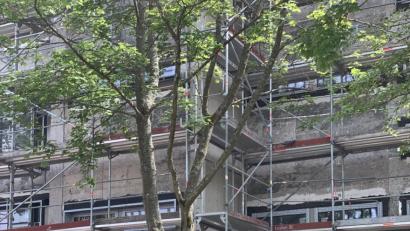 Bild: fph
Mit Atemschutz ausgerüstet gingen die Feuerwehrleute am Freitag gegen den Brand in der Realschule vor.