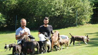 Bild: Gabriela Kick
Peter Kick und Johannes Stilp sind "die Hundeversteher". Sie helfen Herrchen und Frauchen, wenn sie mit ihrem Vierbeiner einmal wieder überfordert sind.