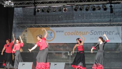 Bild: Susanne Forster
Die Gruppe "Sarao Flamenco" bei ihrer Darbietung.