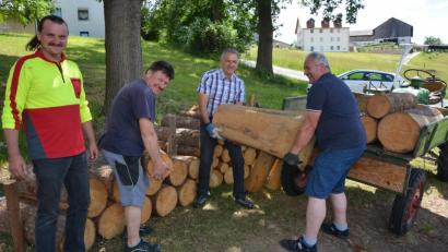 Bild: jr
Gemeinsam packten die Bürgermeister am Freitagnachmittag mit an beim Aufladen des zersägten Maibaums. Johann Burger und Roland Grillmeier (von rechts) fanden Unterstützung bei Feuerwehr-Vorsitzendem Max Ernstberger und Kommandant Konrad Kolb (von links). Die beiden Großenseeser Vereine dürften sich freuen, wohlige Wärme im Vereinsheim durch das gespendete Holz ist garantiert.