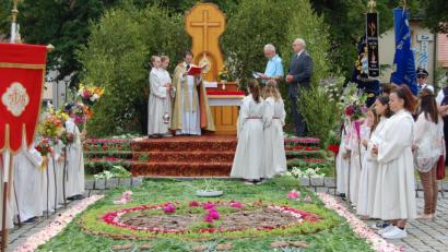 Bild: az
Jesus im Altarsakrament zu Ehren haben Frauen des Katholischen Frauenbundes in aller Frühe vor dem Altar am Marktplatz einen wunderschönen Teppich "gewebt", der viel Bewunderung fand. Erstkommunikanten mit Blumenbuschen stehen Spalier.
