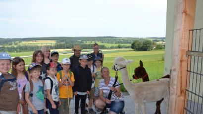 Bild: gi
Alpakas sind ruhige Tiere, aber auch schreckhaft. Den Kindern gefielen die Vierbeiner und jedes Kind durfte Frieda oder Ida mal führen.