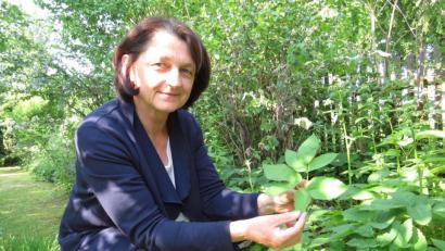 Bild: ubb
Zum Giersch hat Johanna Zettl eine gelassene Beziehung. Sie lässt ihn in ihrem Garten einfach wachsen und kocht regelmäßig damit.