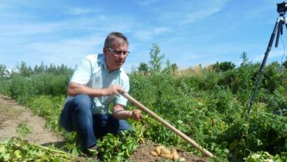 Bild: Portner
Reinhard Elsner startet mit der Ernte der Frühkartoffel "Valetta" auf seinem Feld zwischen Oberviechtach und Hof.
