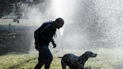 Bild: Paul Zinken
Abkühlung: Ein Mann und ein Hund laufen im Tiergarten unter der Wasserfontäne eines Rasensprengers hindurch.