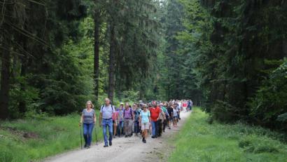 Bild: Roland Wellenhoefer
Durch die prächtigen Mischwälder ging es hinauf zum Abspann.