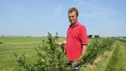Bild: ubb
Täglich schaut Peter Jacobey in seiner Plantage nach, ob alles in Ordnung ist. Leider haben Rehe die Sträucher teils verbissen, musste er im Frühjahr feststellen.