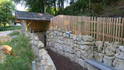 Bild: ua
Der ehemalige Ursensollener Bräukeller, der zu einem Fledermauskeller umgebaut wurde, steht am 30. Juni von 15 bis 17 Uhr für Besucher offen.