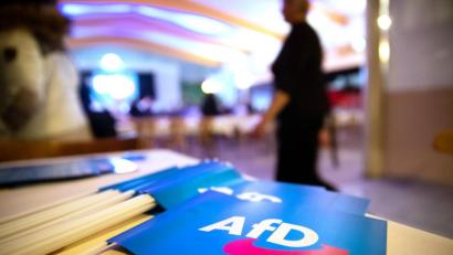 Bild: Daniel Karmann/dpa
Bei einer Veranstaltung der AfD hier in Greding passierten merkwürdige Dinge.