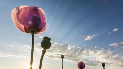 Bild: Matthias Kunz/exb
Fotograf Matthias Kunz liebt außergewöhnliche Perspektiven. Ab 9. Juli sind Werke des Künstlers im Wiesauer Rathaus zu sehen.