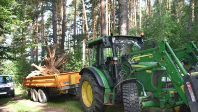 Bild: rgr
Beim Umwelttag in Grafenwöhr wird in der Natur "aufgeräumt". Dazu gehört auch, alte Bäume zu entfernen.
