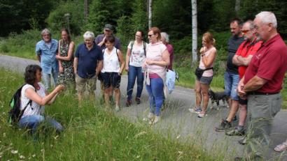 Bild: wro
Regina Herrmann ist in ihrem Element: die Erbendorferin liebt alles was in der Natur vorkommt, vor allem aber die heilenden Pflanzen, die es an der „Schleif“ in Hülle und Fülle gibt.