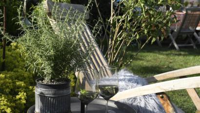 Bild: Petra Hartl
Hereinspaziert zum Tag der offenen Gartentür in Utzenhofen: Hier gibt es am Sonntag, 30. Juni, viel zu sehen und zu fachsimpeln. Und für Bewirtung sorgen die Gastgeber auch.