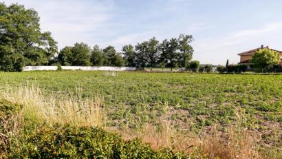 Bild: Hösamer
Auf diesem freien Grundstück nahe des Friedhofs Dachelhofen (im Hintergrund) sollen vier Mehrfamilienhäuser entstehen.