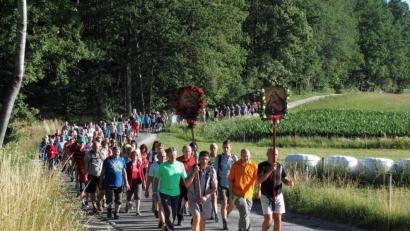 Bild: fdl
Die geschmückten Pilgertafeln der Gläubigen aus Hirschau und Ehenfeld führen den Pilgerzug auf den Mariahilfberg an.