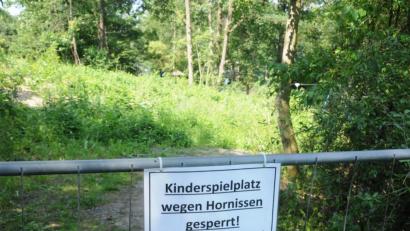Bild: bey
Der Abenteuerspielplatz "Am Schutzengel" ist derzeit wegen Hornissen gesperrt. Eine an einer Eiche austretende Flüssigkeit zieht die Brummer an.