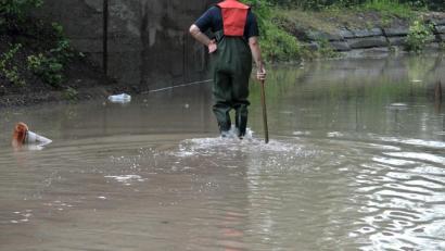 Bild: Alexander Auer
In Bayern - wie hier in Kelheim - standen teilweise Wege und Straßen unter Wasser.