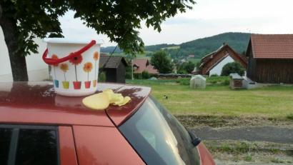 Bild: Portner
Stop! Beim Autowaschen dürfen die Gaisthaler Bürger derzeit kein wertvolles Trinkwasser vergeuden.
