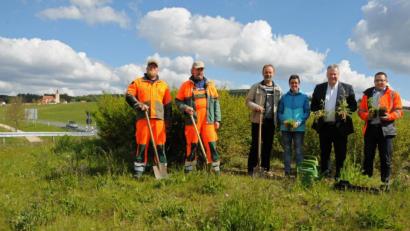 Bild: Hollederer, Christine
Auf der Blühfläche bei Ehenfeld (von links): Andreas Bogner, Josef Landshammer (Kreisgärtner), Albert Meyer (Gartenbauverein Ehenfeld), Michaela Basler (Kreisfachberaterin), Landrat Richard Reisinger und Matthias Kolb (Tiefbau Amberg-Sulzbach).