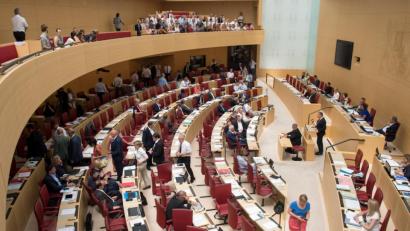Bild: Tobias Hase/dpa 
Der AfD-Abgeordnete Ralph Müller spricht im Bayerischen Landtag.