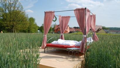 Bild: Portner
Lust aufs Land: Wogende Ähren und blühende Felder:: Die Gartenschau in Wassertrüdingen hat mehr zu bieten als Blumenbeete.