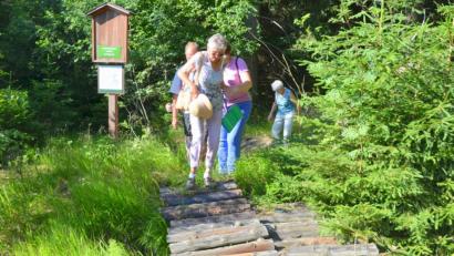 Bild: fjo
Nur quer durch den Wald, bergauf und bergab, über Stock und Stein, lässt sich die Stelle inmitten jenes Gebiets erreichen, das längst die Natur wieder zurückeroberte.