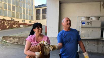 Bild: exb
Glücklich weil unverletzt: Nach erfolgreicher Rettung steckten die Retter Heidi Fienz (links) und Helmut Staratschek den noch rußgeschwärtzen Storch in eine Kiste für den Transport in die Vogelauffangstation in Regenstauf.