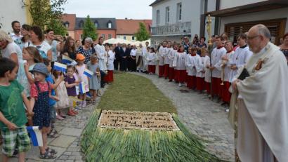 Bild: jr
Staunend betrachtet Stadtpfarrer Anton Witt (rechts) den ihm zu Ehren gelegten Blumenteppich. 20 Pfadfinder arbeiteten zweieinhalb Tage, um dieses Kunstwerk dem Stadtpfarrer an seinem 40-Priesterjubiläum präsentieren zu können.