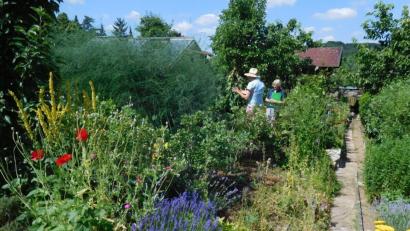 Bild: Jürgen Bisani/exb
Der Garten von Zenta Meiler.