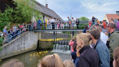 Bild: tkr
Das Murach-Wehr in der Ortsmitte war beim Entenrennen des CSU-Ortsverbandes als erstes Hindernis zu überwinden. Nachdem die Enten im ruhigen Wasser eine Pause eingelegt hatten, stieg die Spannung beim Publikum.