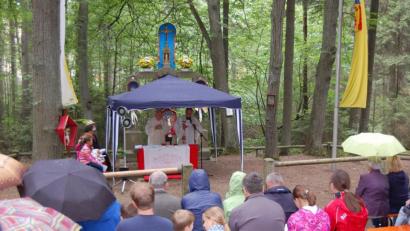 Bild: grm
Die Pfarreien Michldorf und Roggenstein pilgern in einer Sternwallfahrt zum Johannisbrünnerl und beten und singen dort nach langer Tradition.