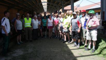 Bild: wro
Die Bio-Radltour begleiteten viele Teilnehmer, die kreuz und quer den Steinwald erkundeten. Angeführt wurde die Besuchergruppe von Eva Gibhardt (2. von links) und Günther Erhardt (links mit gelber Warnweste).