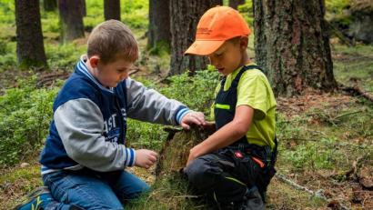 Bild: exb
Lukas Nickl und Finn Hautmann untersuchen einen Baumstumpf im neu geschaffenen „Grünen Klassenzimmer“ bei Fichtelberg