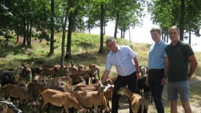 Bild: exb/Ulrike Meixner
Dennis Gruber erläutert Markus Kurz vom Verein Naturpark Oberpfälzer Wald und dem Neunburger Bürgermeister Martin Birner (im Bild von rechts) die Beweidung des Druidensteins mit Kamerunschafen und Ziegen.