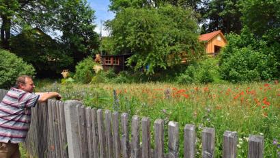 Bild: Andreas Royer
Blick über den Zaun von Stadtgärtnermeister Klaus Herbst beim Schulmuseum auf eine farbenfrohe Blühfläche für Schmetterlinge und Wildbienen.