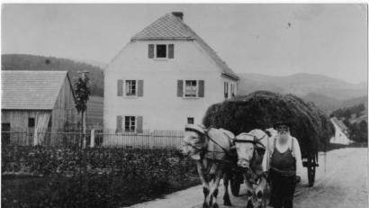 Repro: tu
Der Landwirt und Bader Johann Xaver Walbrunn, Urgroßvater von Altbürgermeister Johann Walbrunn, ist am 4. Juli 1929 mit seinem Ochsengespann und der Heufuhre auf der Neuenhammerstraße auf dem Heimweg. Kurz darauf bricht das Unwetter los.