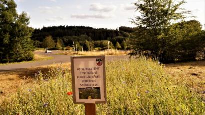 Bild: arw
Mit kleinen Blühflächen will die Gemeinde Störnstein etwas für den Insektenschutz tun.