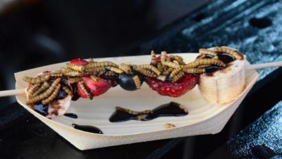 Bild: Kunz
Lecker? Mehlwürmer-Früchtespieß mit Schokolade übergossen.