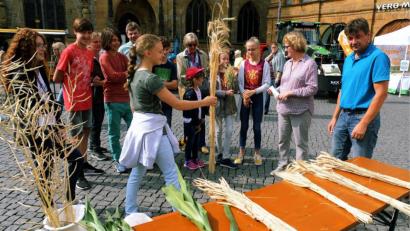 Bild: gfr
Langeweile kam für die Schülerinnen und Schüler der Realschule und des Max-Reger-Gymnasiums beim Landwirtschafts-Informationstag auf dem Amberger Bauernmarkt nicht auf, wie etwa am „Getreidestand“, wo ALEF-Pflanzenbauberater Wolfgang Wittmann (r.) die gängigen Getreidesorten erklärte.