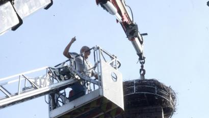 Bild: Hirsch
Spengler Josef Andree ließ sich im Korb der Drehleiter nach oben fahren und befestigte das Storchennest am Kamin des ehemaligen Schlachthofes.